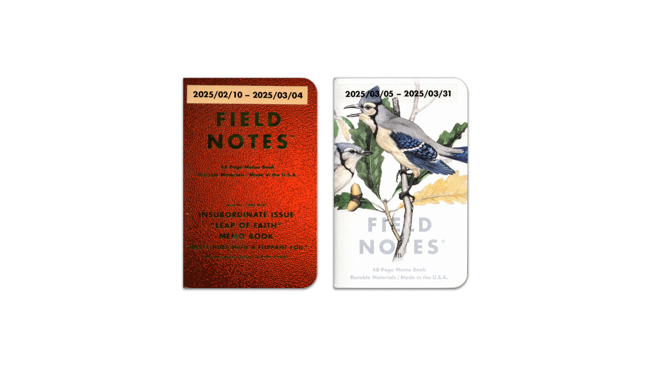 A digital scan of the covers of the journals I used during March, 2025. The first is the DDC x Field Notes “Leap of Faith” edition pocket notebook, featuring neon orange paper with neon green foil lettering. The second is the Field Notes “Birds and Trees” edition pocket notebook, featuring white paper with light-grey lettering, and an illustration of a Blue Jay.